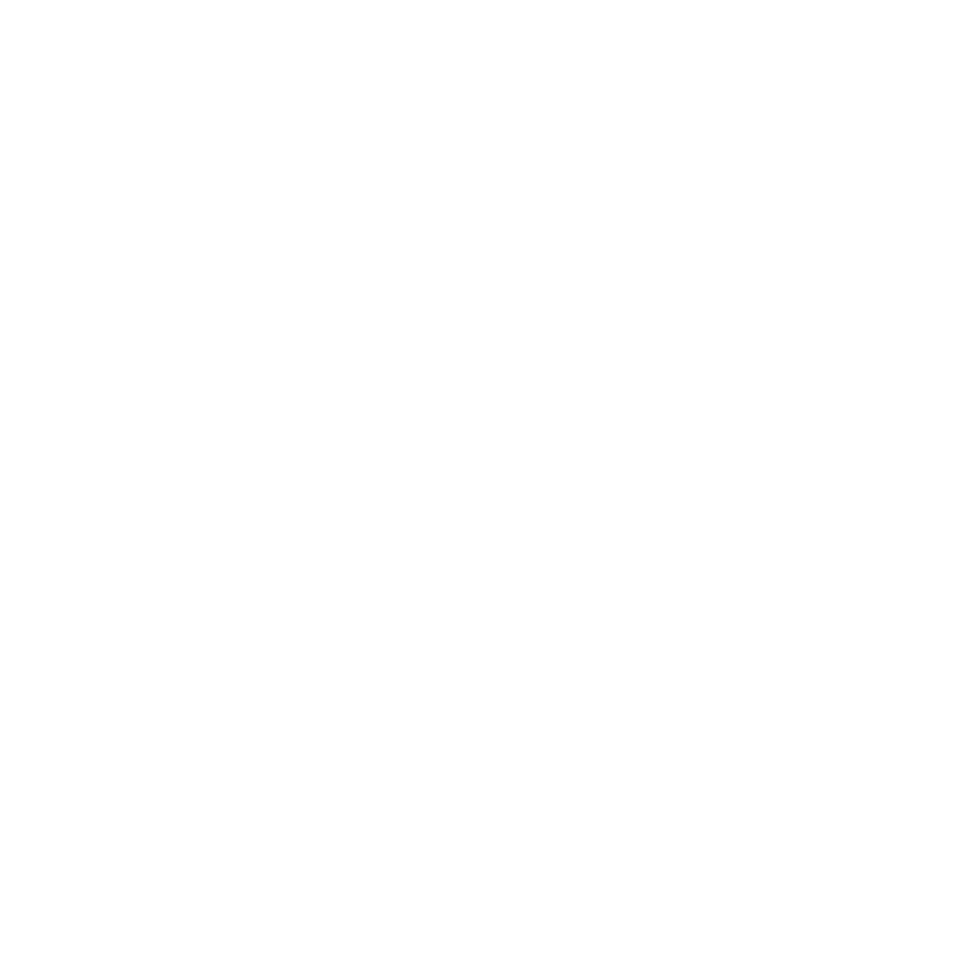 Pien Property logo
